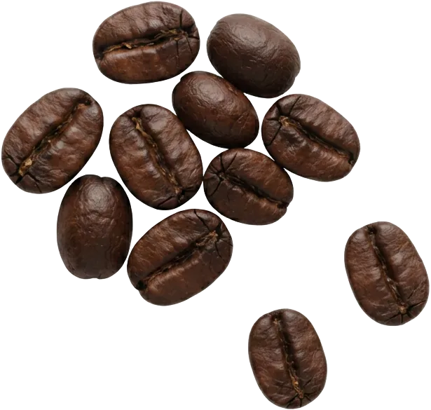 Roasted arabica coffee beans